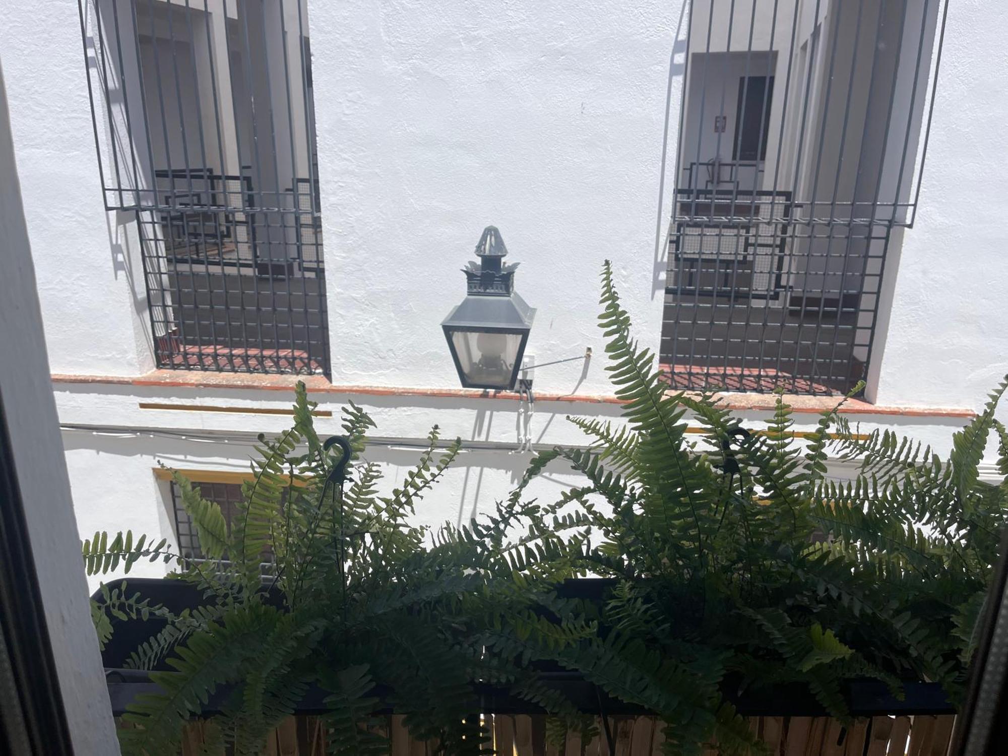 Mucho Trigo Apartments New Córdoba Eksteriør billede